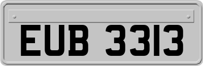 EUB3313