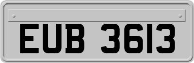 EUB3613