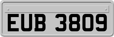 EUB3809
