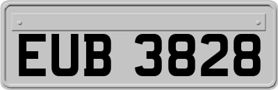 EUB3828