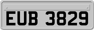 EUB3829