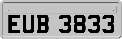 EUB3833