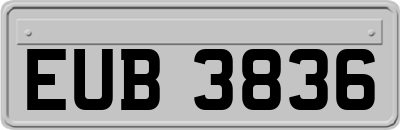 EUB3836