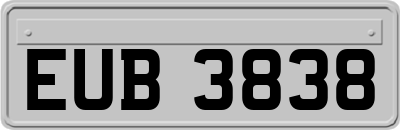 EUB3838