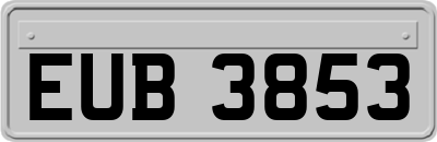 EUB3853