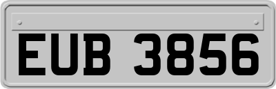 EUB3856