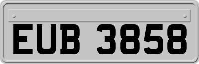 EUB3858