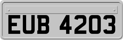 EUB4203
