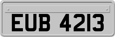 EUB4213