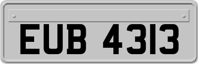 EUB4313