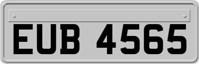 EUB4565