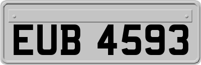 EUB4593
