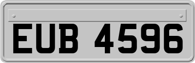 EUB4596
