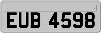 EUB4598