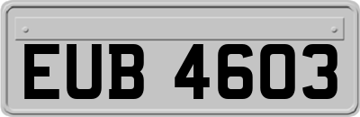 EUB4603