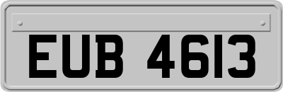 EUB4613