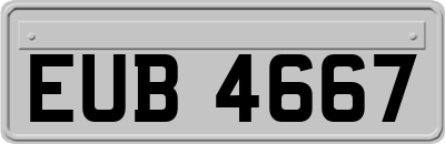 EUB4667