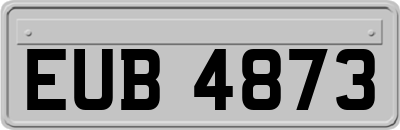 EUB4873