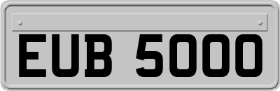 EUB5000
