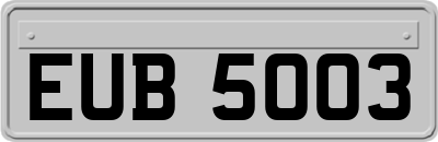 EUB5003