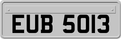 EUB5013