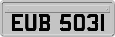 EUB5031