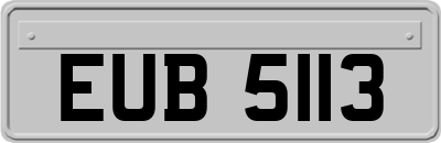EUB5113