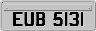 EUB5131