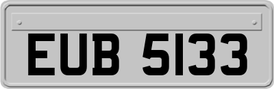EUB5133