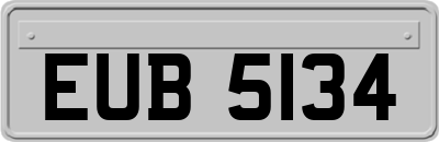 EUB5134