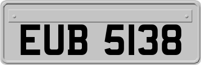 EUB5138