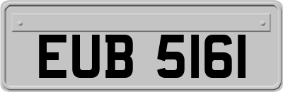 EUB5161