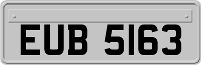 EUB5163