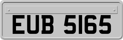 EUB5165