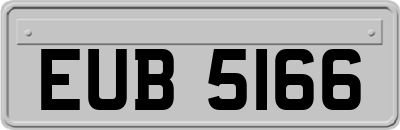 EUB5166