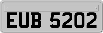 EUB5202