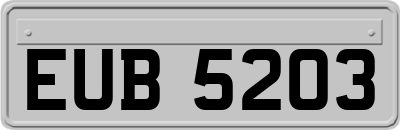 EUB5203