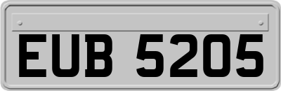 EUB5205