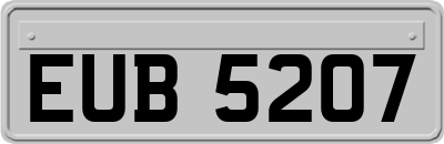 EUB5207