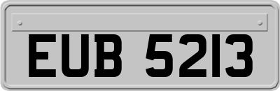 EUB5213