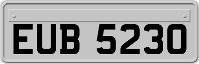 EUB5230