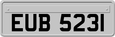 EUB5231