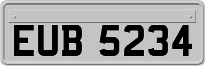 EUB5234
