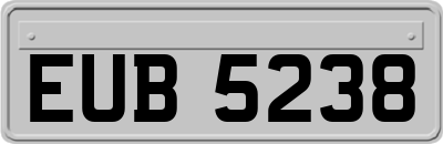 EUB5238