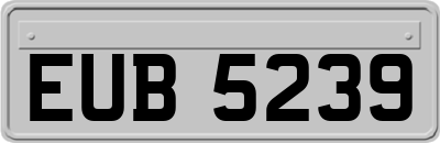 EUB5239
