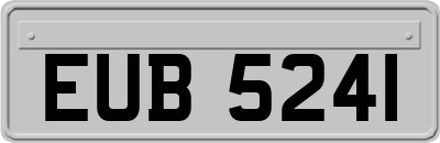 EUB5241