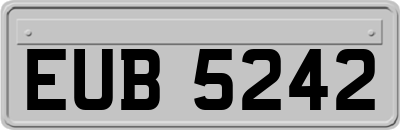 EUB5242