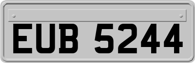 EUB5244