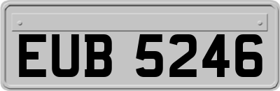 EUB5246