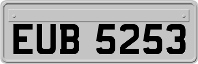 EUB5253